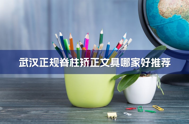 武汉正规脊柱矫正文具哪家好推荐-1