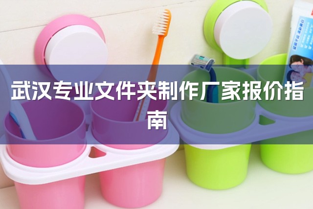 武汉专业文件夹制作厂家报价指南-1